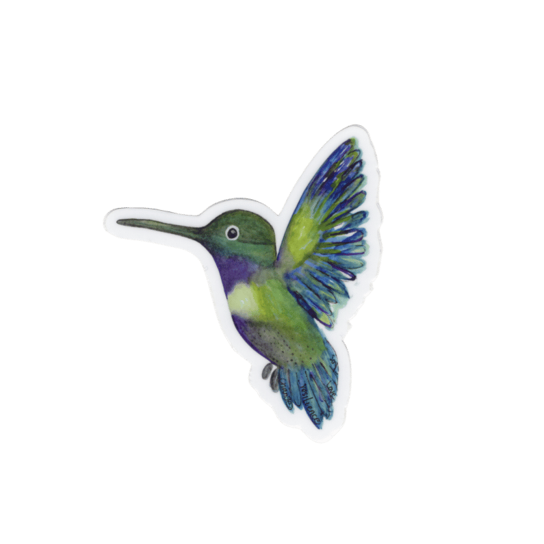 Hummingbird Sticker